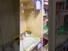 Mutlu Evcil Hayvanlar, Mutlu Ev: Berk'in Temizleyicisi Her Şeyi Yapıyor!