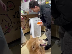 Evcil hayvanlar için uygun hava: Berk'in Temizleyicisi Evinizi Temiz Tutur!