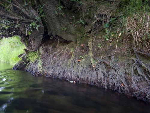 Çin hakkında en son haberleri Nehir erozyonundan kaynaklanan asılı parçacıklar: Havanın kalitesine ve hava arıtıcılarına olan etkilerini anlamak